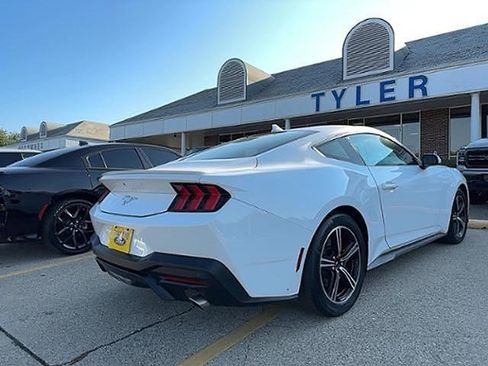 Used 2024 Ford Mustang Premium image 6