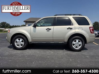Used 2010 Ford Escape XLT