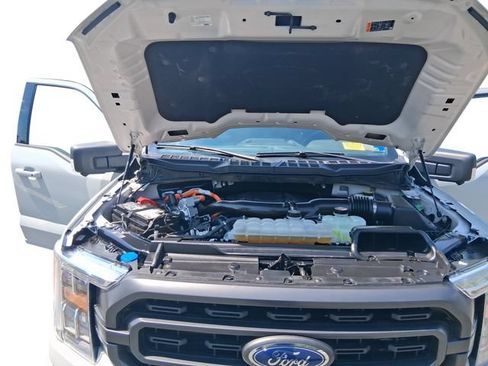 Used 2023 Ford F150 XLT w/ Equipment Group 302A High AWD/4WD image 20