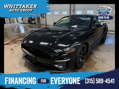 Used 2023 Ford Mustang Coupe w/ Mustang Nite Pony Package