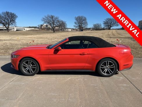 Used 2015 Ford Mustang Premium w/ Equipment Group 201A image 6