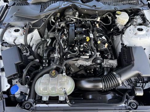 Used 2022 Ford Mustang Coupe w/ Equipment Group 101A image 23