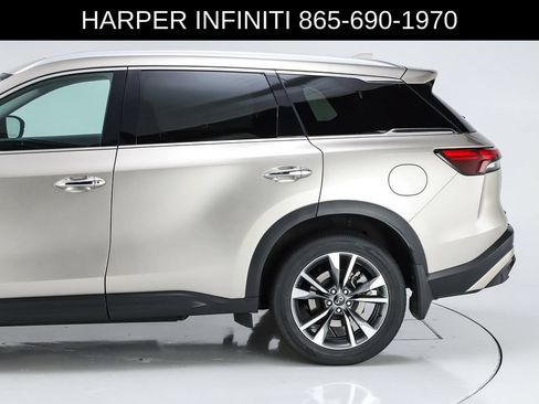 Used 2023 INFINITI QX60 Luxe w/ Vision Package AWD/4WD image 4