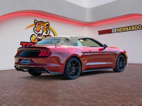 Used 2019 Ford Mustang GT Premium w/ Equipment Group 401A RWD image 5