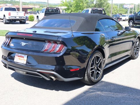 Used 2018 Ford Mustang Premium w/ Equipment Group 201A RWD image 6
