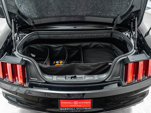 Used 2017 Ford Mustang GT Premium image 19