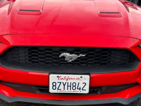 Used 2021 Ford Mustang EcoBoost image 9