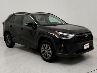 Certified 2025 Toyota RAV4 XLE Premium