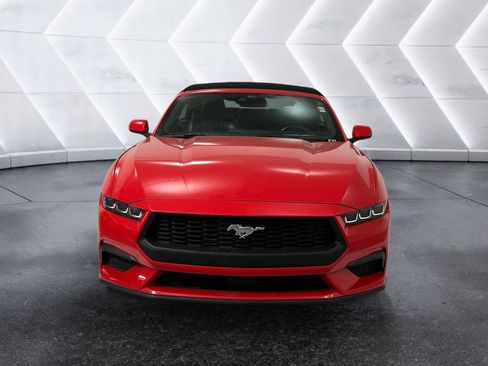 Used 2024 Ford Mustang Premium RWD image 2