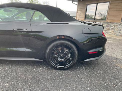Used 2019 Ford Mustang GT Premium w/ Black Accent Package RWD image 4