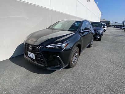 Used 2025 Lexus NX 250 FWD