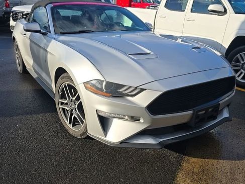 Used 2019 Ford Mustang Premium image 2