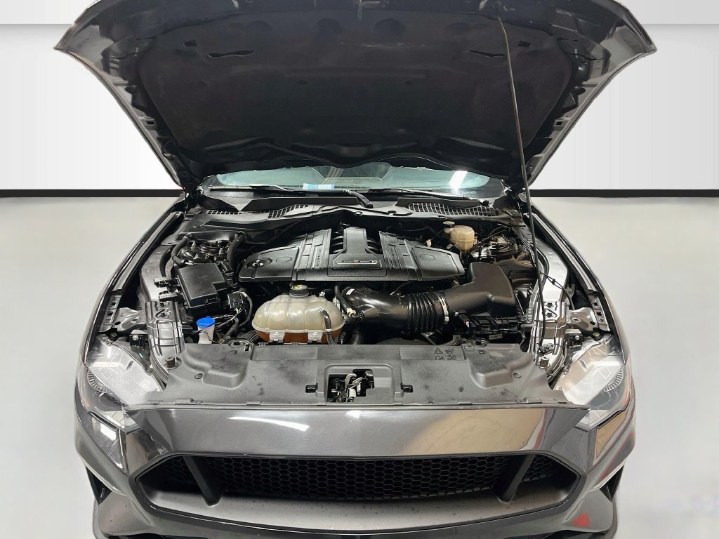 Used 2023 Ford Mustang GT Premium w/ Equipment Group 401A RWD image 29