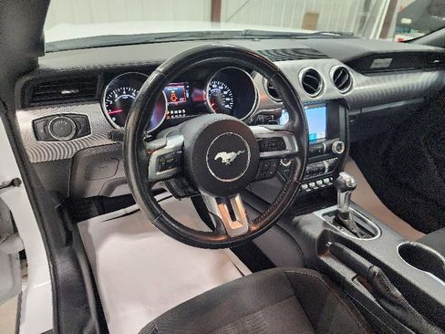 Used 2019 Ford Mustang EcoBoost Fastback w/ Equipment Group 101A image 8