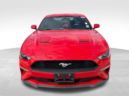 Used 2019 Ford Mustang Coupe image 2