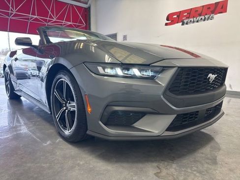 Used 2025 Ford Mustang Premium RWD image 1