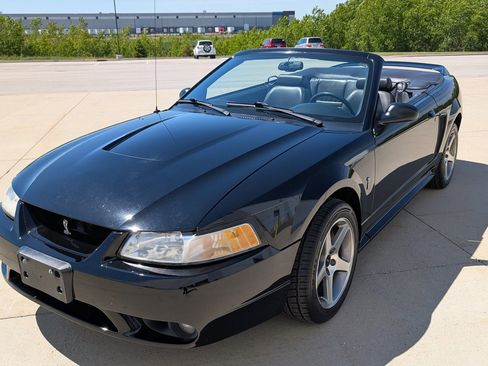 Used 1999 Ford Mustang Cobra RWD image 2
