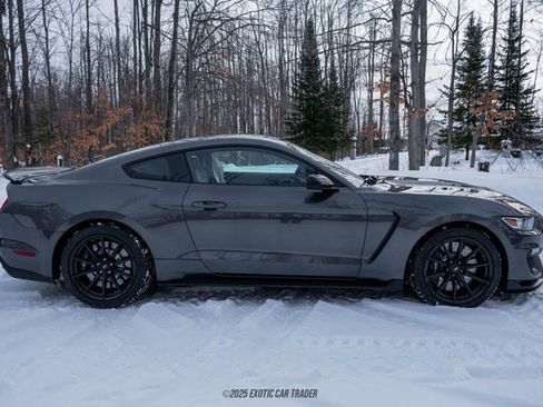 Used 2015 Ford Mustang Shelby GT350 image 9