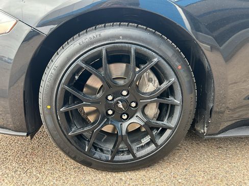 Used 2019 Ford Mustang Coupe w/ Ecoboost Performance Package RWD image 7