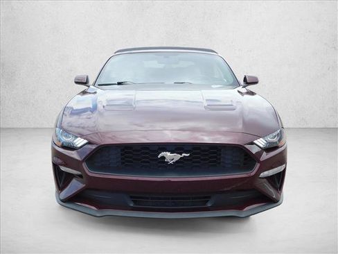 Used 2018 Ford Mustang Convertible w/ Equipment Group 101A RWD image 4