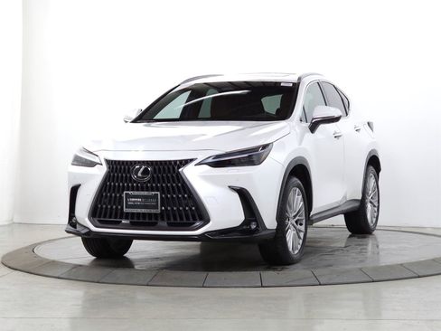 Certified 2025 Lexus NX 350h Luxury w/ Rear Seat Package image 3