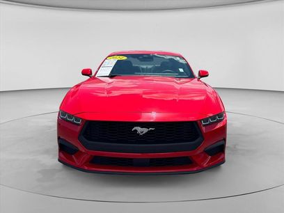 Used 2024 Ford Mustang Premium