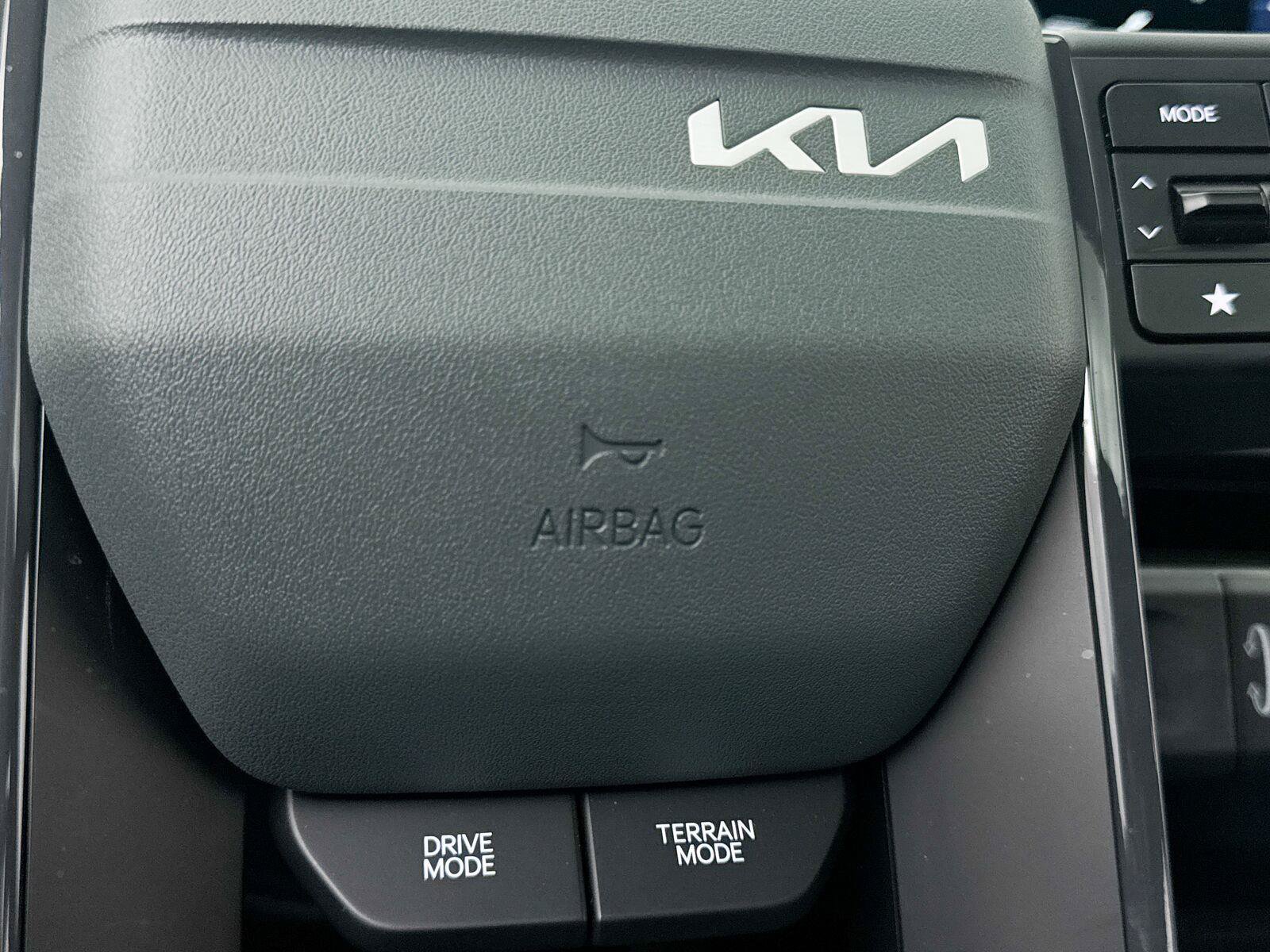 Used 2027 Kia Telluride SX Prestige X-Line AWD/4WD image 11
