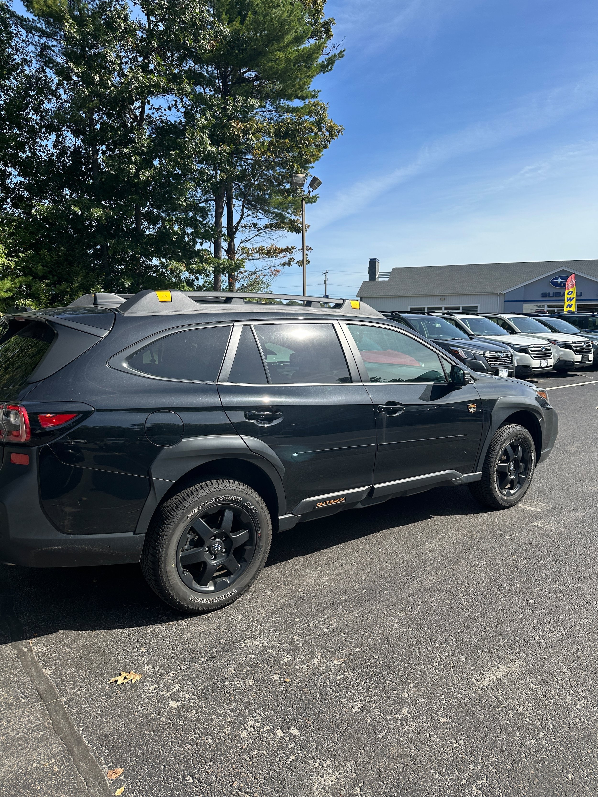Used 2025 Subaru Outback Wilderness AWD/4WD image 6