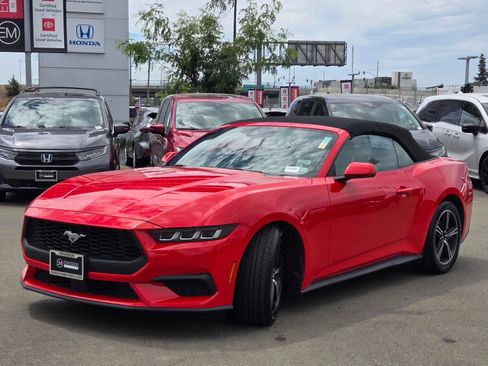 Used 2024 Ford Mustang Premium RWD image 3