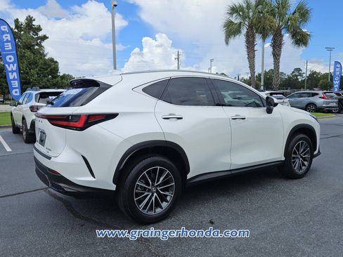Used 2025 Lexus NX 350h AWD w/ Cold Area Package image 5