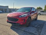 Used 2020 Ford Escape SE image 3