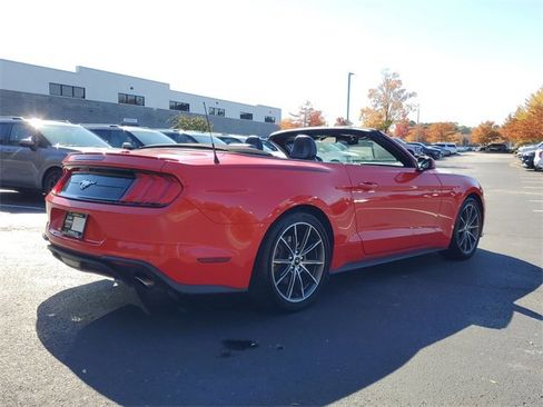 Used 2019 Ford Mustang Premium w/ Equipment Group 201A image 11