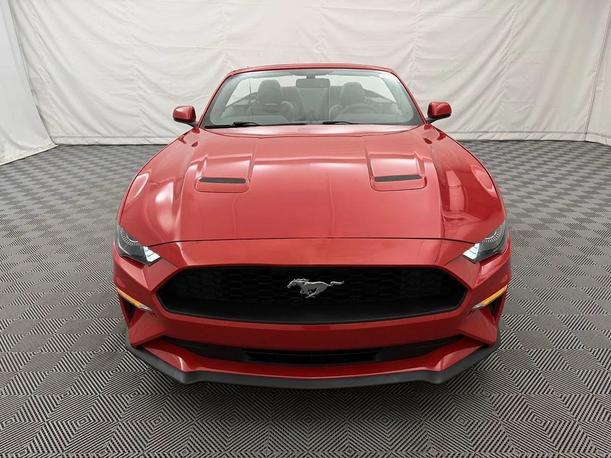 Used 2020 Ford Mustang Premium RWD image 3