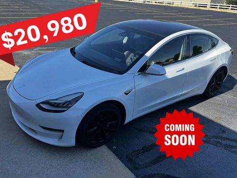 Used 2019 Tesla Model 3 Long Range AWD/4WD image 1