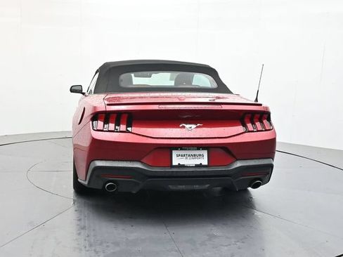Used 2024 Ford Mustang Premium RWD image 6
