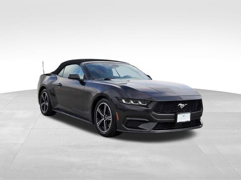 Used 2024 Ford Mustang Premium image 1