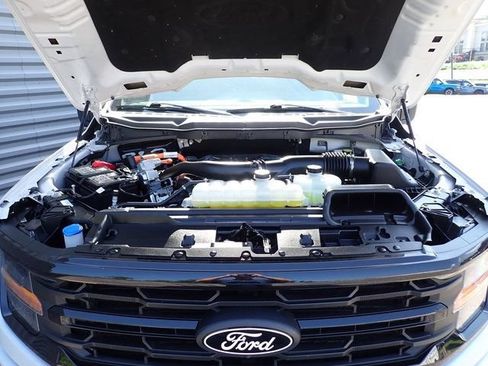 Used 2025 Ford F150 XLT w/ Equipment Group 302A MID AWD/4WD image 16
