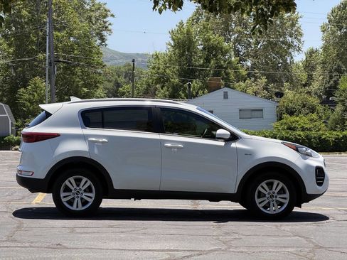 Used 2019 Kia Sportage LX w/ LX Popular Package AWD/4WD image 4