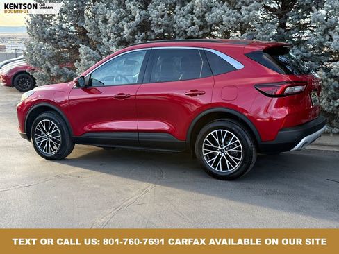 Used 2024 Ford Escape Base image 5