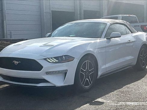 Used 2022 Ford Mustang Premium image 2