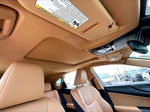 Used 2025 Lexus NX 250 FWD w/ Cold Area Package image 12