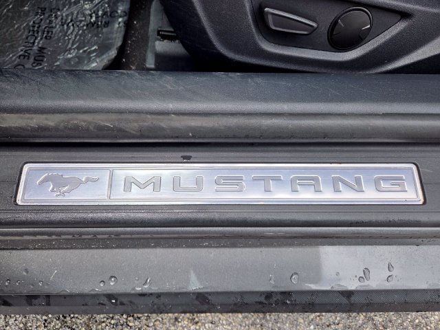 Used 2024 Ford Mustang Premium RWD image 10