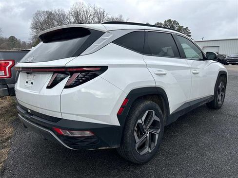 Used 2024 Hyundai Tucson Limited image 4