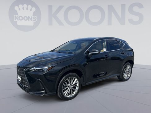 Used 2025 Lexus NX 350 AWD w/ Accessory Package (2T) image 1