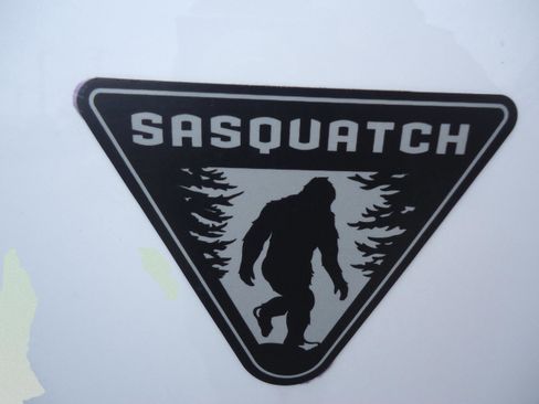 Used 2021 Ford Bronco 4-Door w/ Sasquatch Package image 10