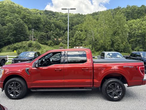 Used 2023 Ford F150 XLT w/ Equipment Group 302A High AWD/4WD image 7