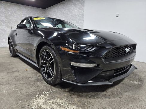 Used 2023 Ford Mustang Premium image 7