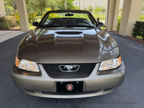Used 2002 Ford Mustang Convertible RWD image 35