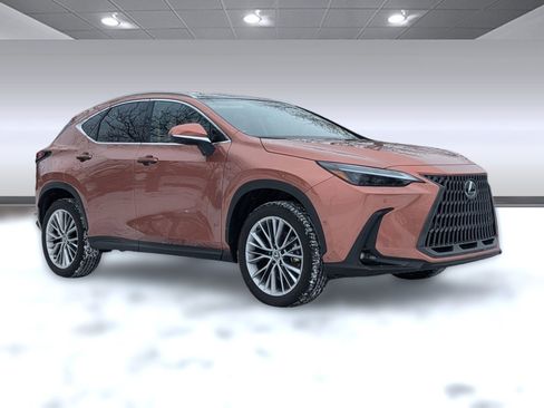 Used 2025 Lexus NX 300h AWD w/ Luxury Package image 7