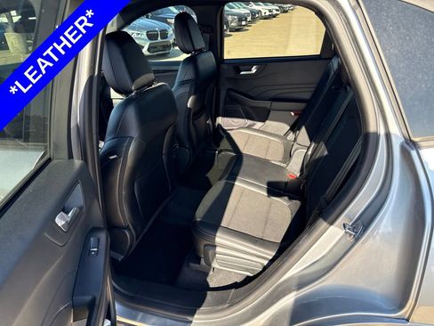 Used 2024 Ford Escape ST-Line w/ Tech Pack #1 FWD image 6